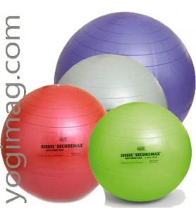 Housse pour ballon Sport/Yoga swiss ball 65cm